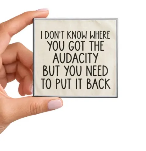 I Don't Know Where You Got the Audacity Magnet