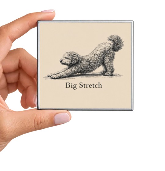 Big Stretch Magnet