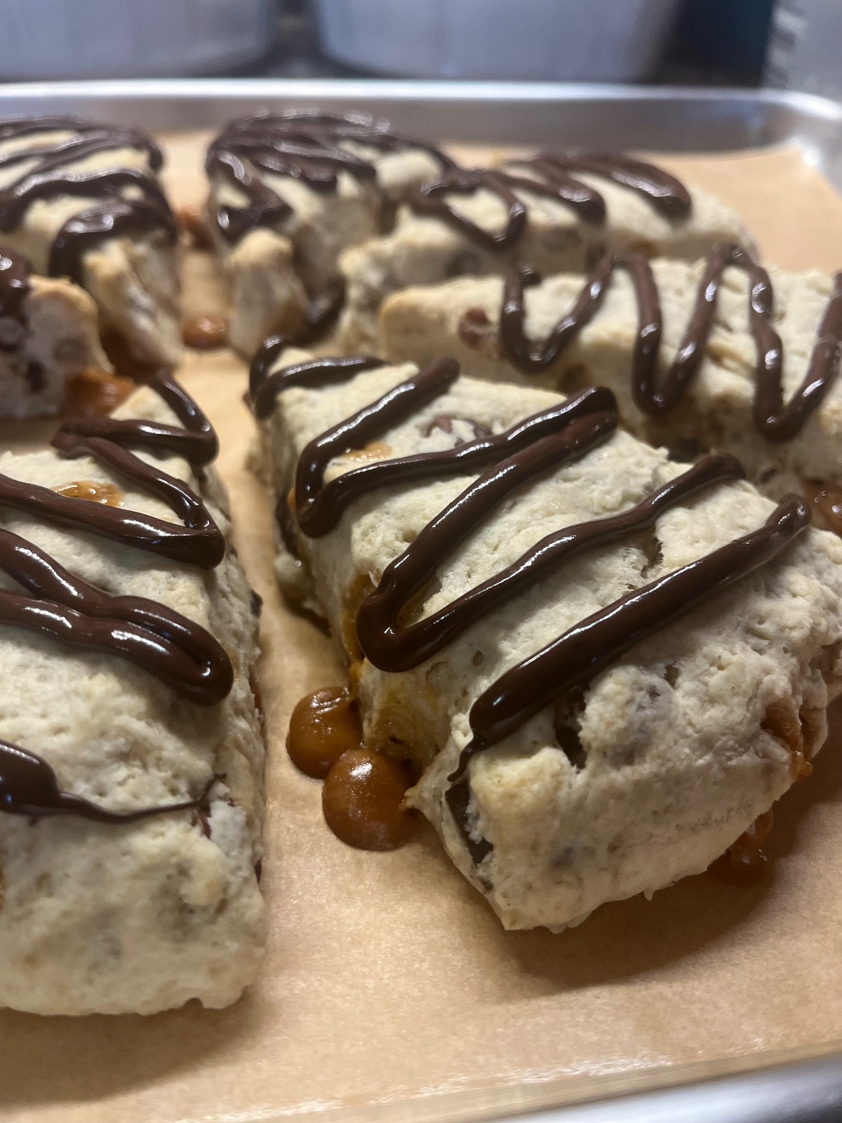 Turtle scone