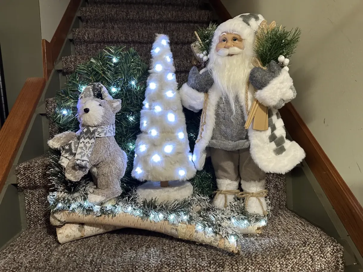 Woodland Santa Birch Display
