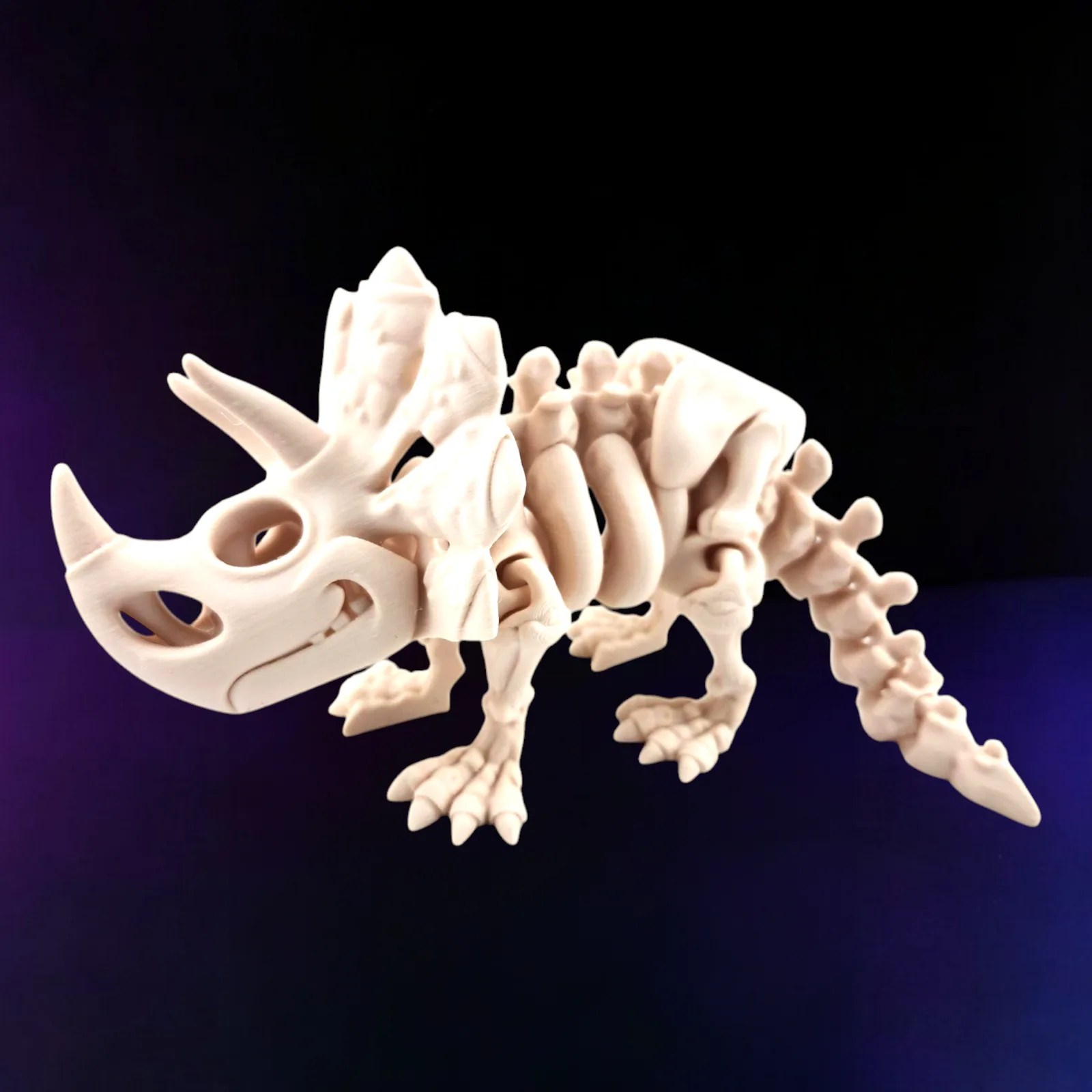 Triceratops Skeleton