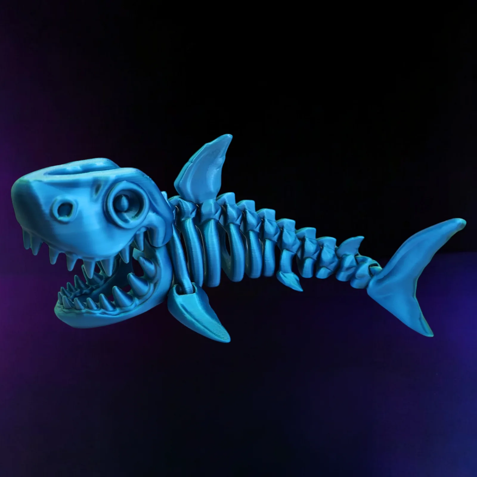 Shark Skeleton
