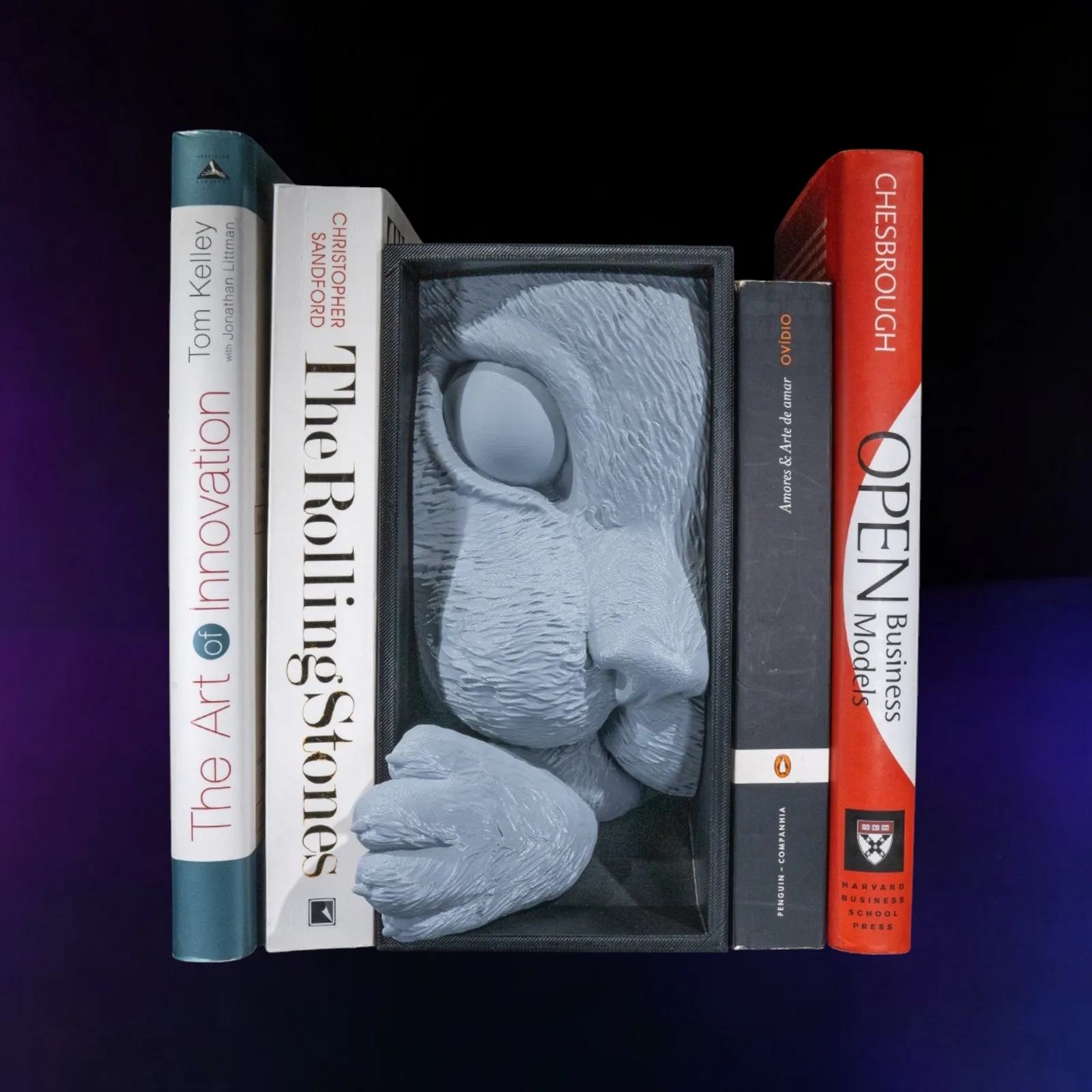 Cat's Curiosity Book Nook