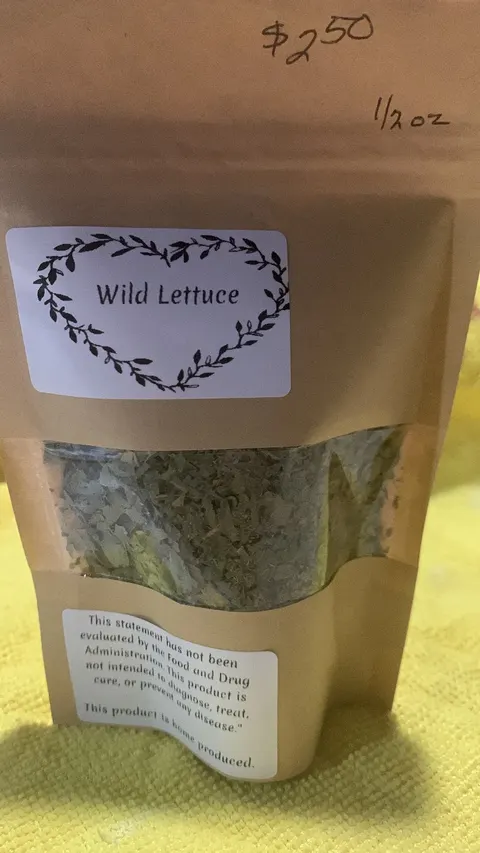 Wild Lettuce