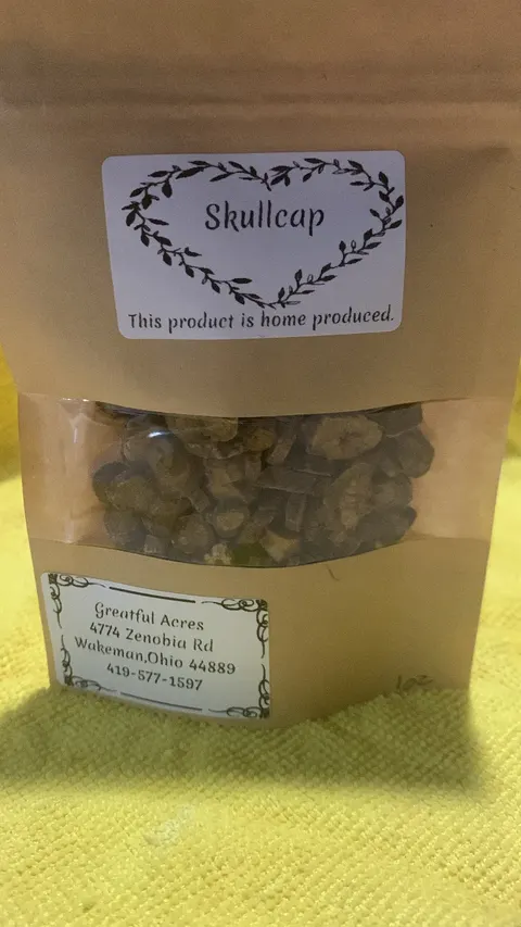 Skullcap
