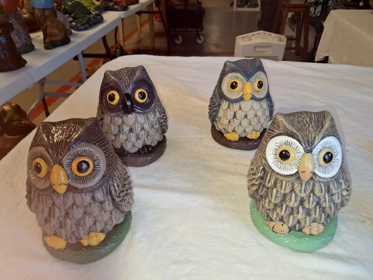 Little Big Eyed Owl