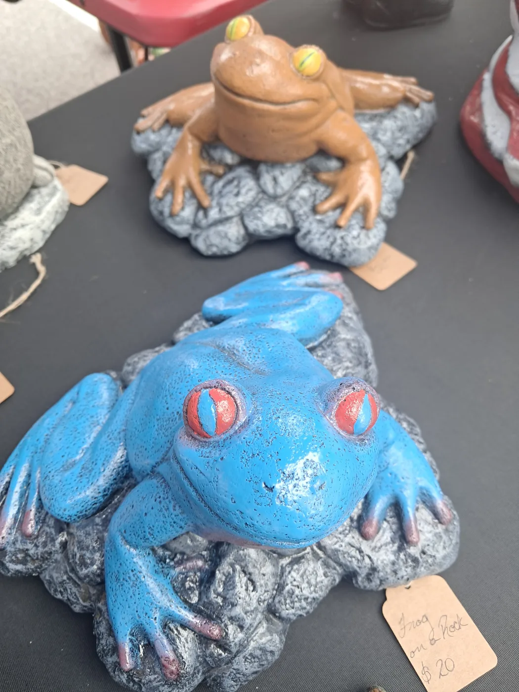 Frog on a Rock
