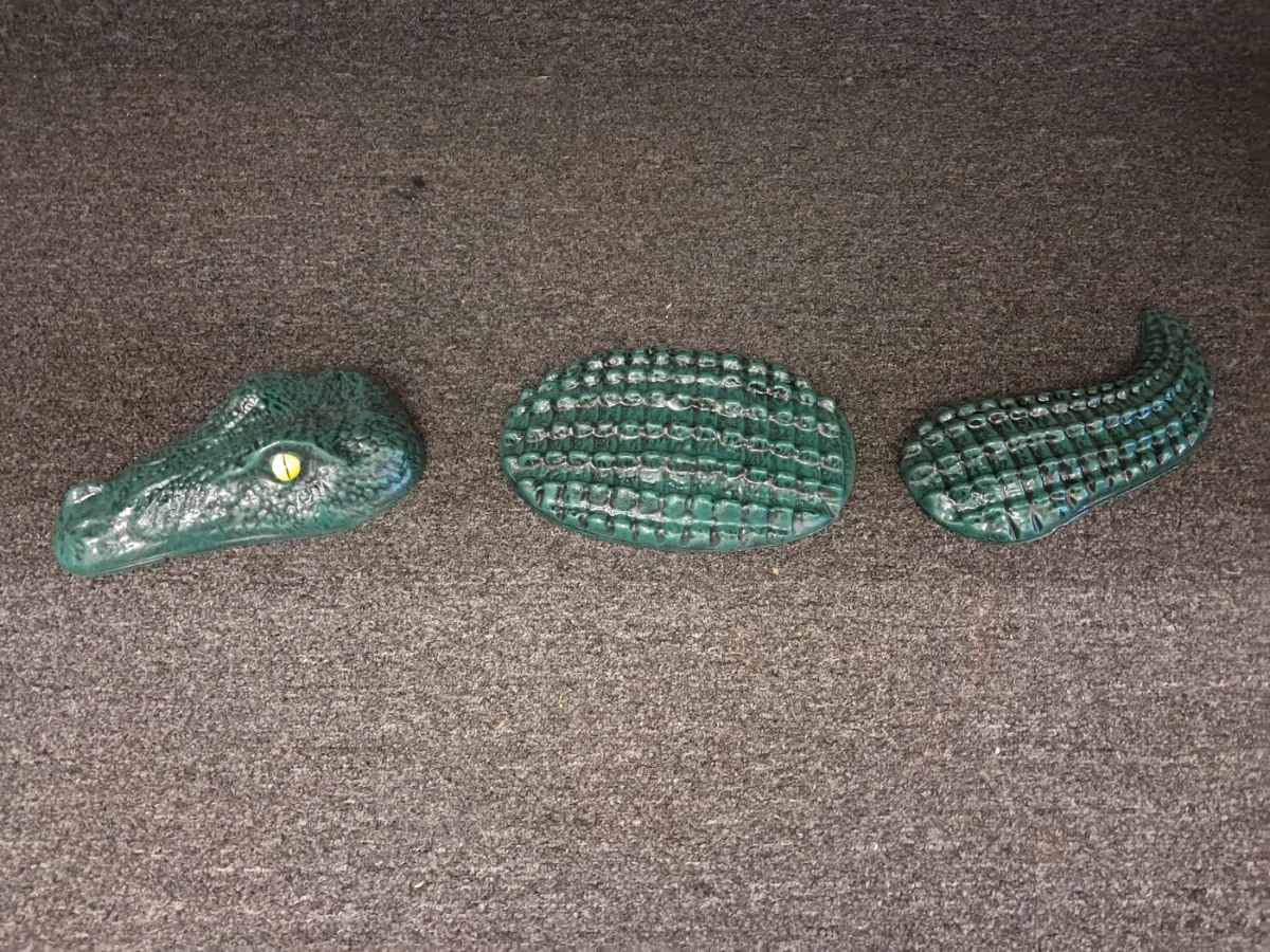 Alligator