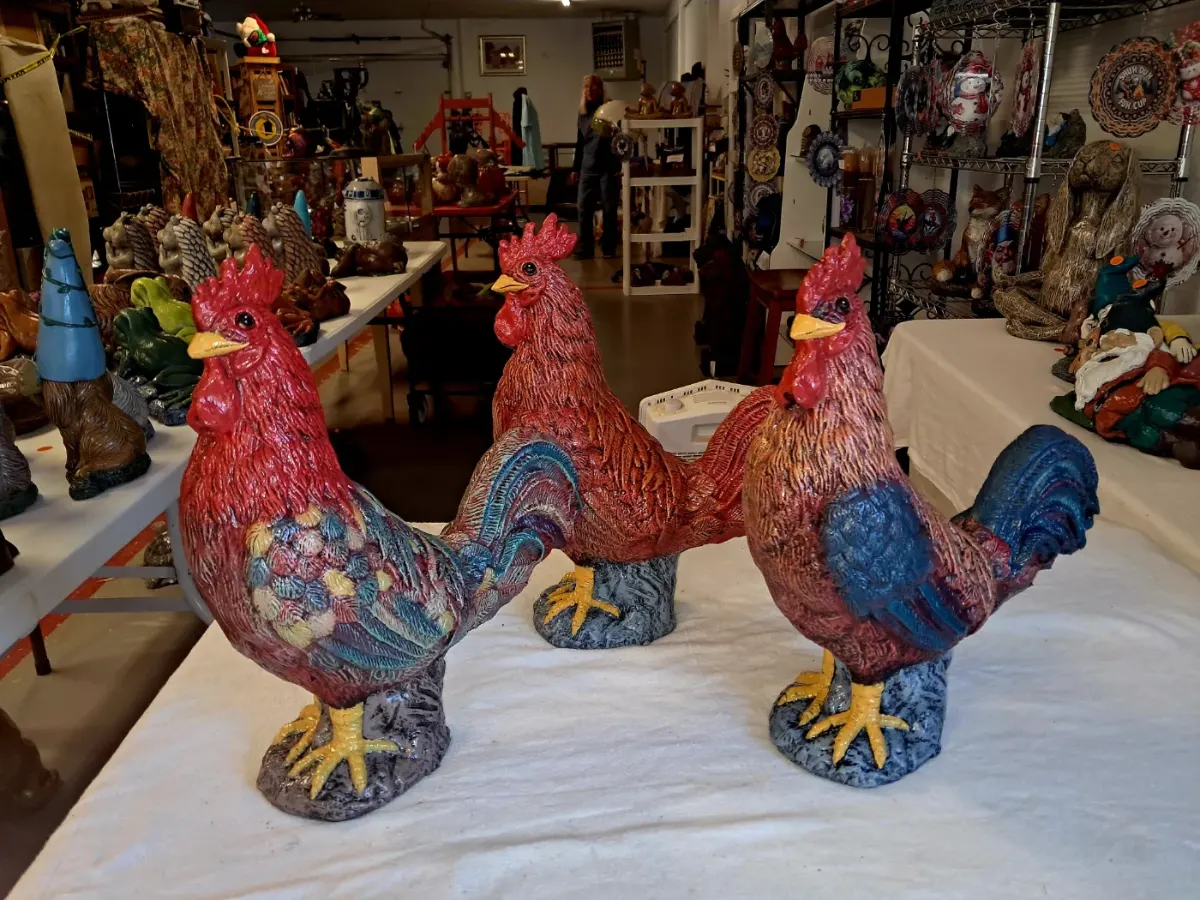 Rooster