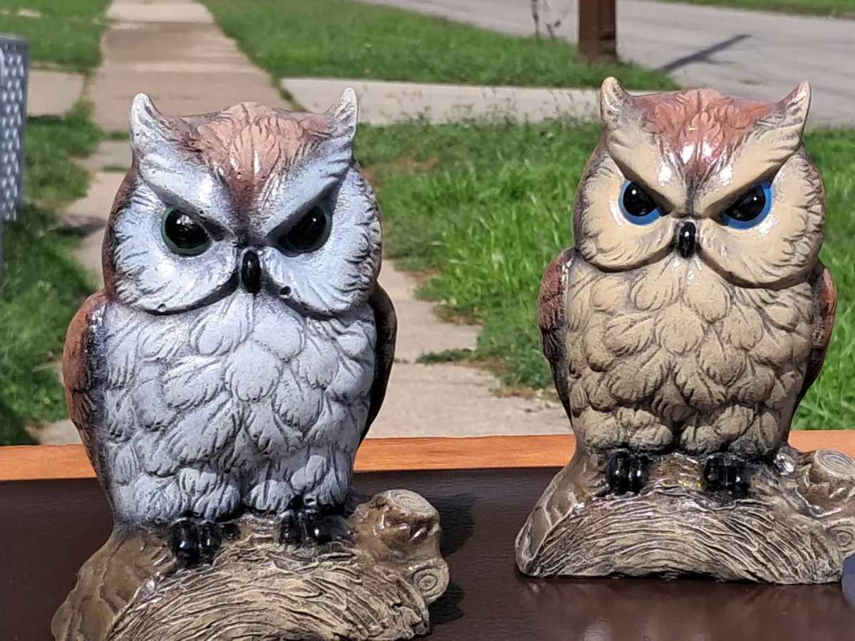 Lil' Horned Owl