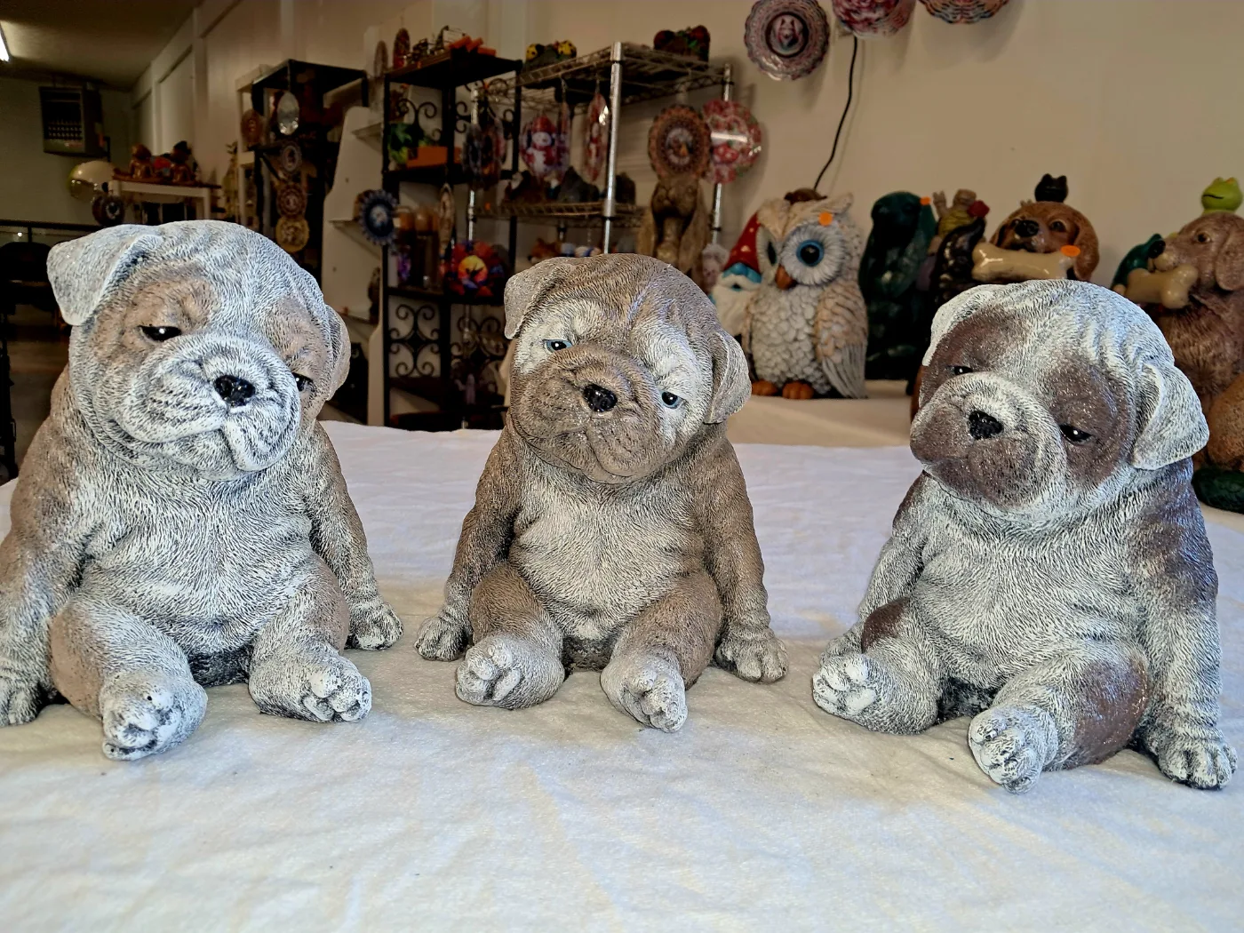 Sad Bully Puppy