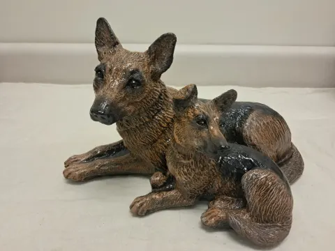 German Shepherd and Puppy
