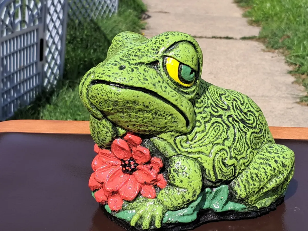 Thinking Frog