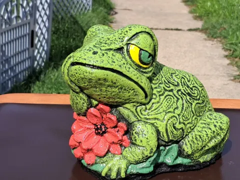 Thinking Frog