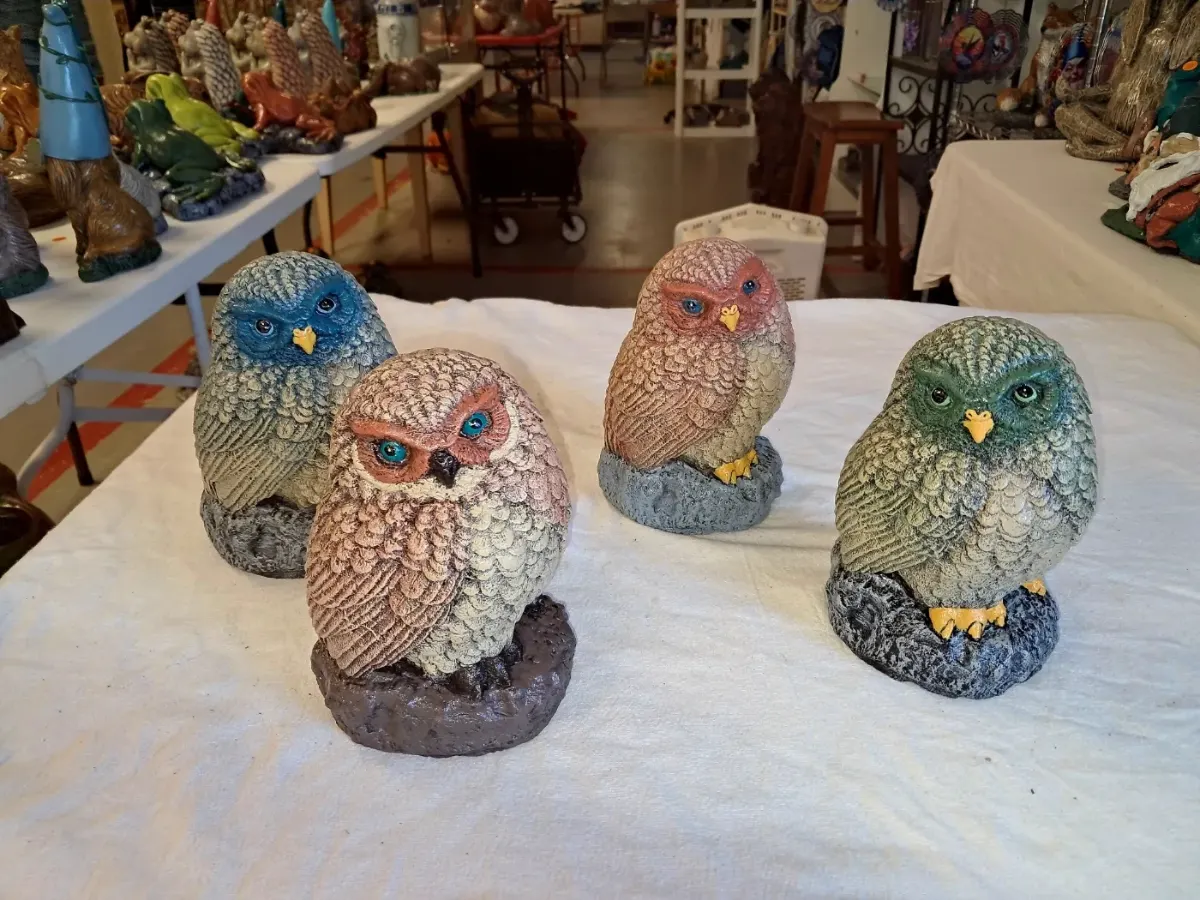Little Owl
