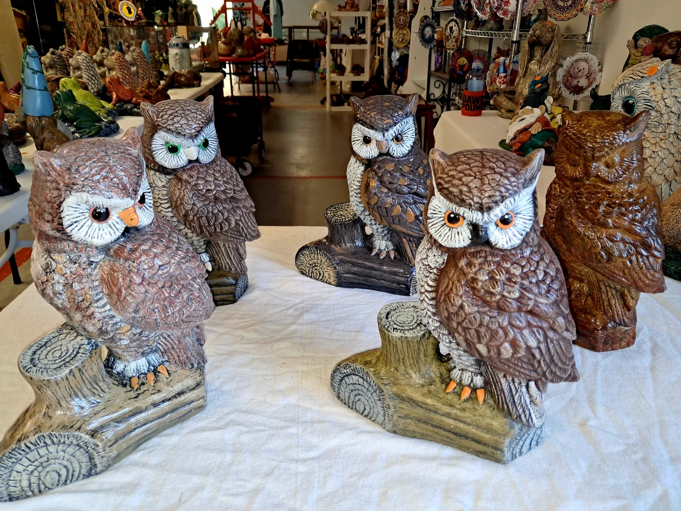 Medium Owl on Log