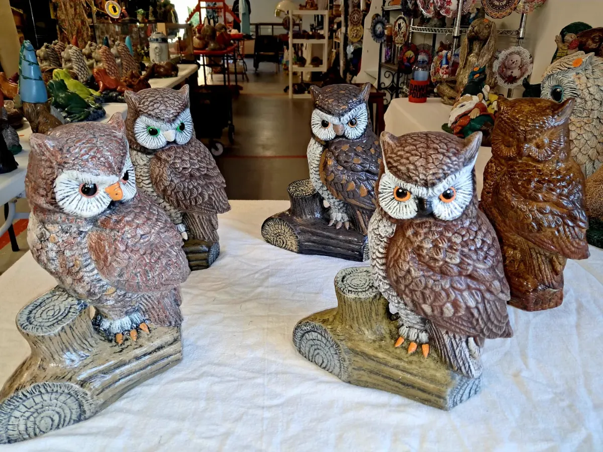Medium Owl on Log