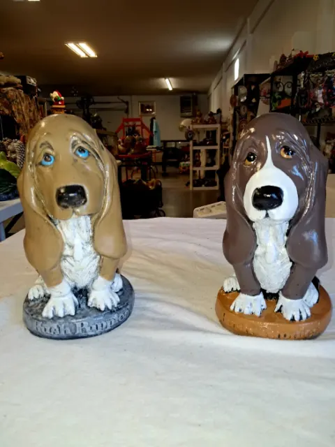 Basset Hound