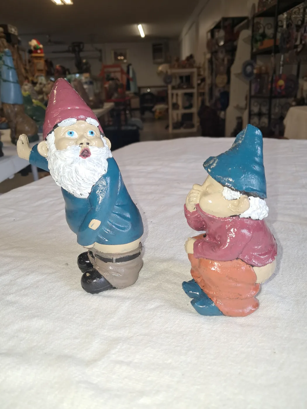 Little Naughty Gnomes