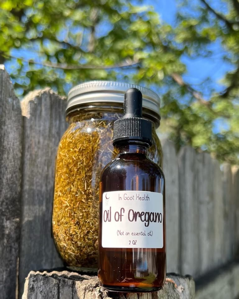 Oil of Oregano