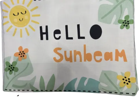 Hello Sunbeam
