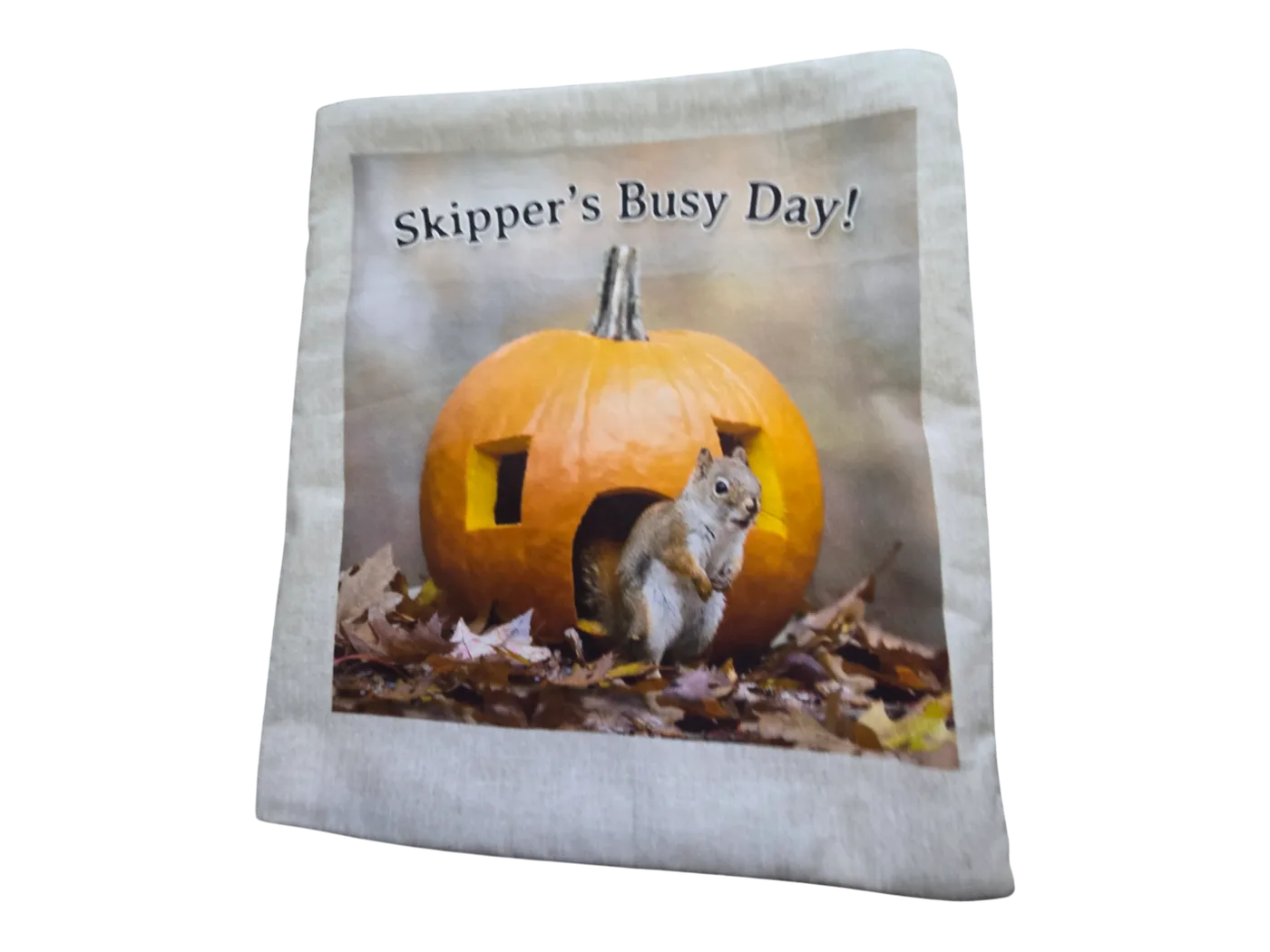 Skipper's Busy Day!