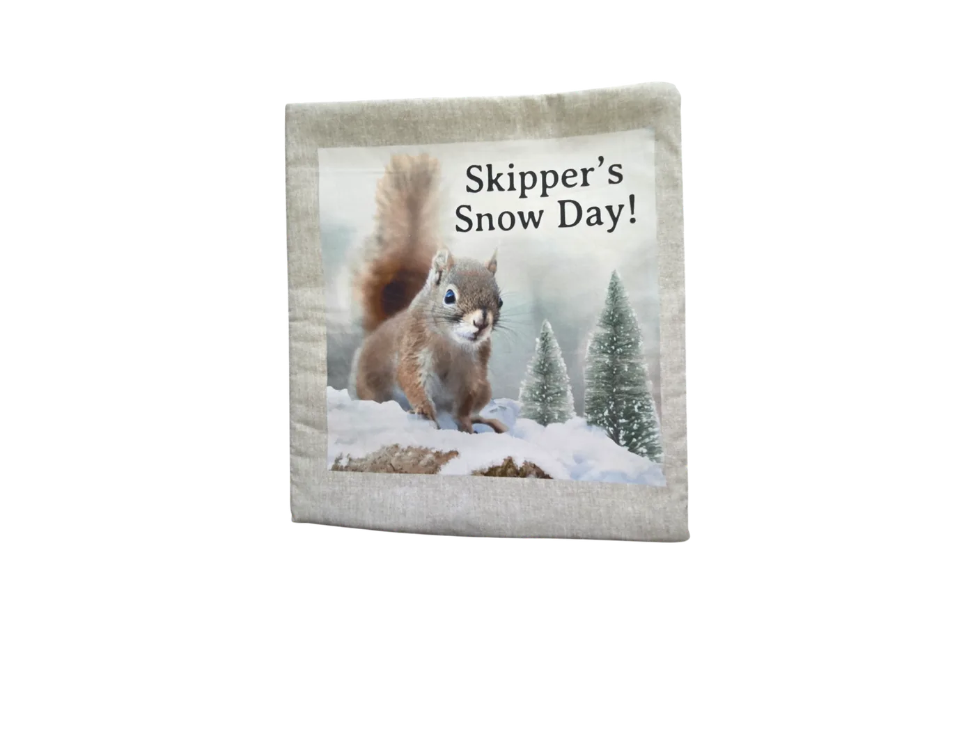 Skipper's Snow Day!